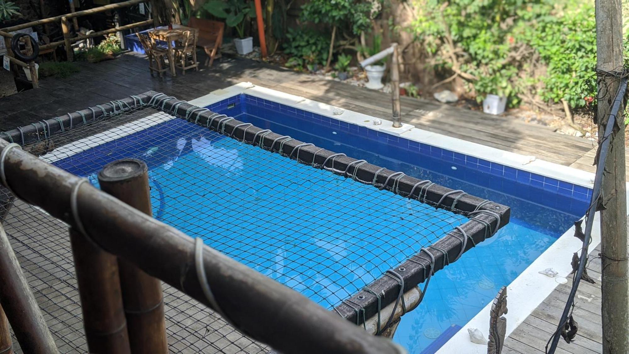 La Natura Hostel & Pool Palomino Exterior photo
